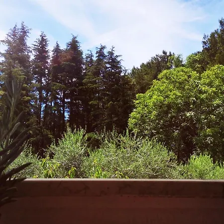 Nono Toni Пореч